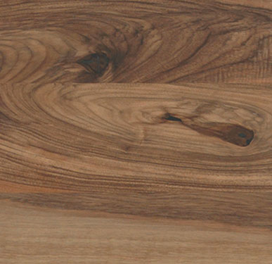 EUROP�ISCHER NUSSBAUM